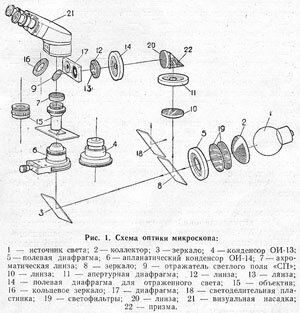 Рис. 1.Схема оптики микроскопа МБИ-11